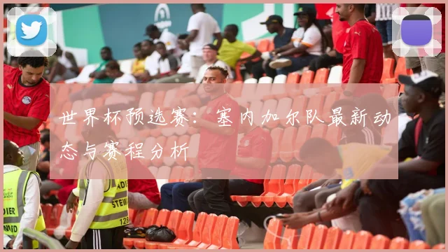 世界杯预选赛：塞内加尔队最新动态与赛程分析